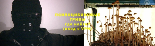 spice Абдулино