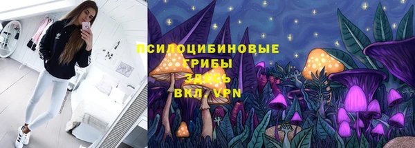 герыч Снежинск