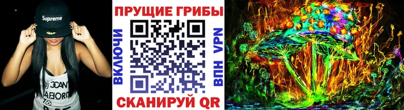 мега зеркало  Камышлов  Галлюциногенные грибы ЛСД  купить  