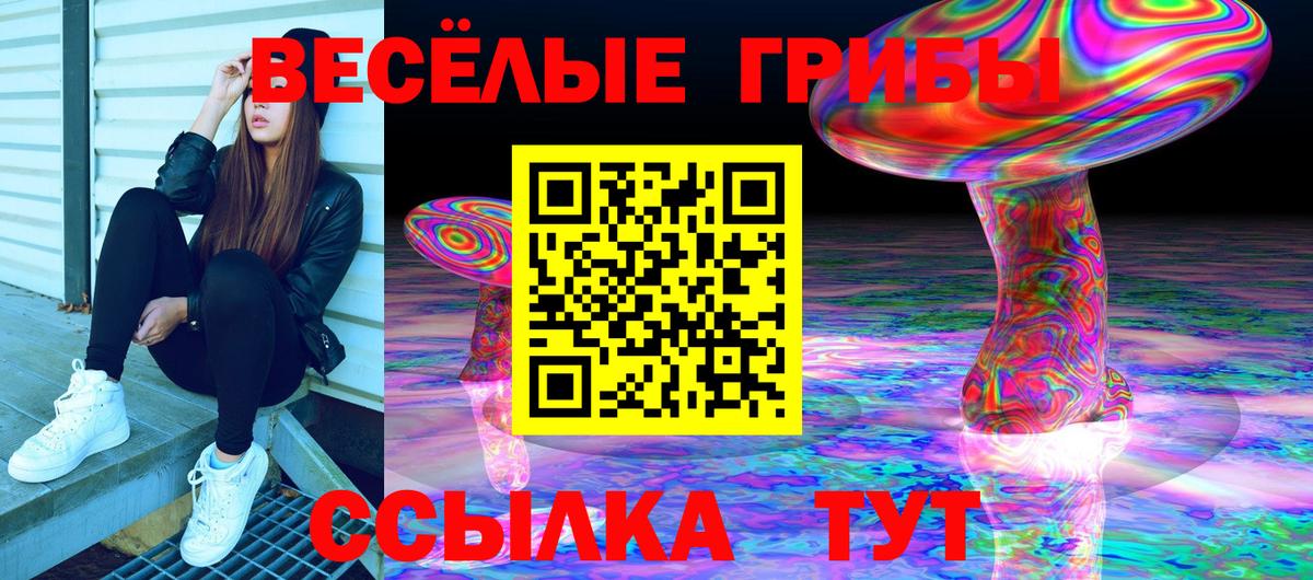 Камышлов  Псилоцибиновые грибы Psilocybe  Галлюциногенные грибы ЛСД  Вход с VPN 