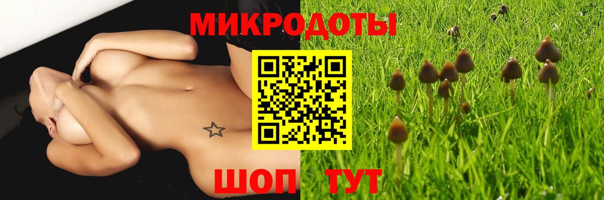 Псилоцибиновые грибы мицелий Камышлов